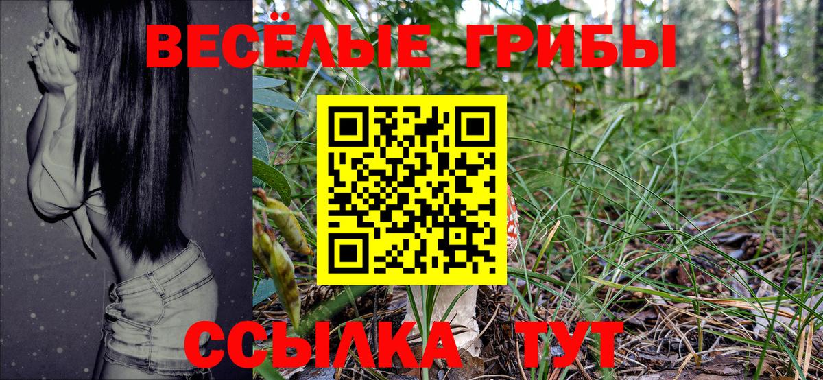 Видное  Галлюциногенные грибы MAGIC MUSHROOMS  Псилоцибиновые грибы Cubensis  Вход с VPN 